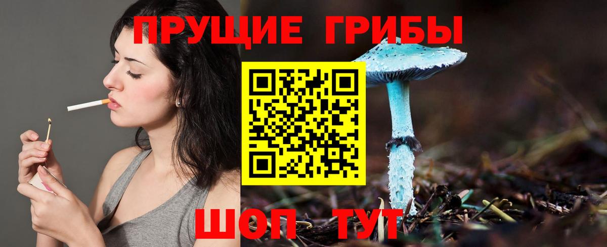 Галлюциногенные грибы Cubensis Зеленодольск